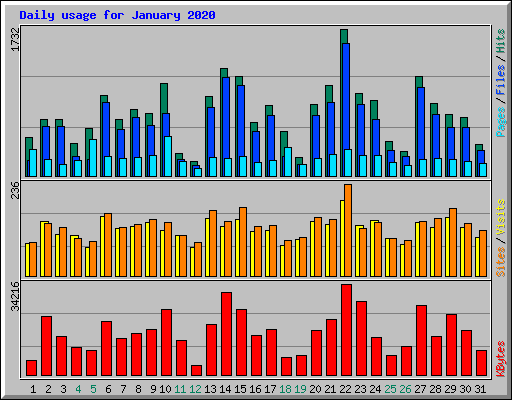 Daily usage for January 2020