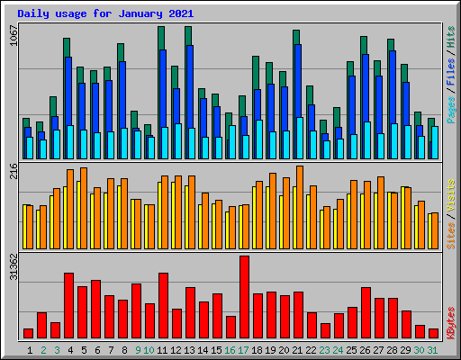 Daily usage for January 2021