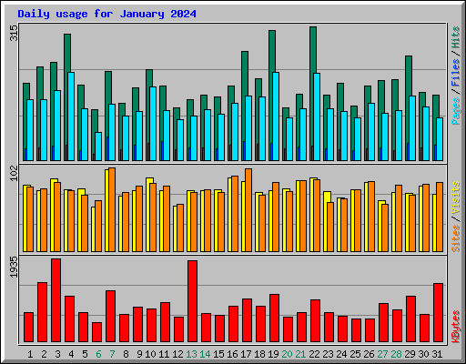 Daily usage for January 2024