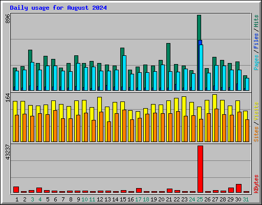 Daily usage for August 2024