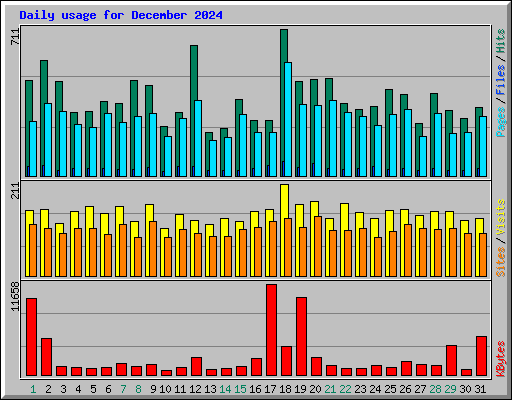 Daily usage for December 2024