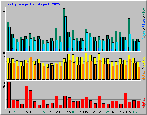 Daily usage for August 2025