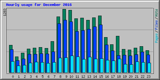 Hourly usage for December 2016