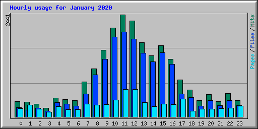 Hourly usage for January 2020
