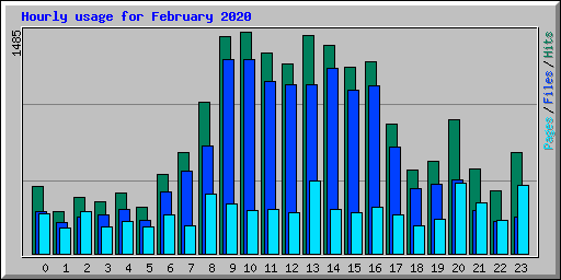 Hourly usage for February 2020