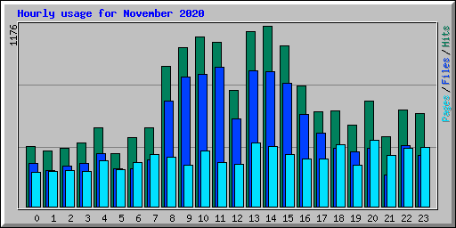 Hourly usage for November 2020