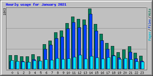 Hourly usage for January 2021