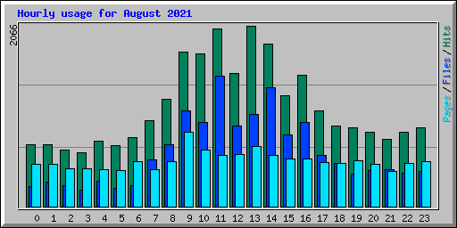 Hourly usage for August 2021