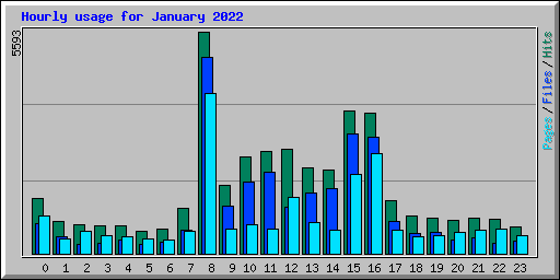 Hourly usage for January 2022