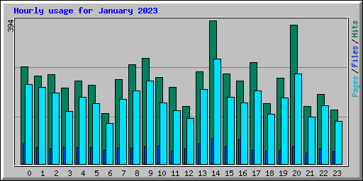 Hourly usage for January 2023