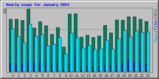 Hourly usage for January 2024