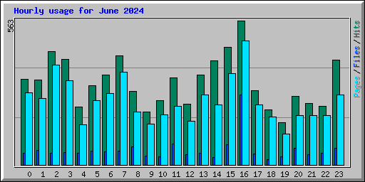 Hourly usage for June 2024