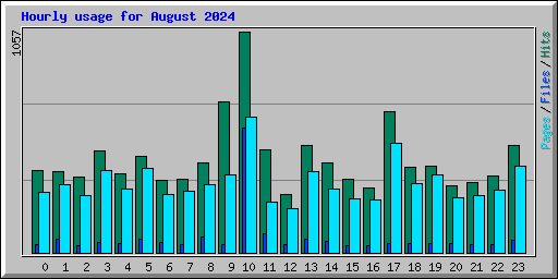 Hourly usage for August 2024