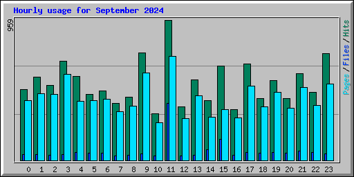 Hourly usage for September 2024