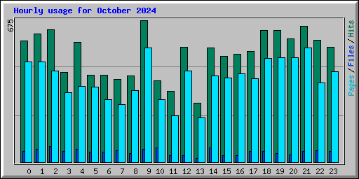 Hourly usage for October 2024