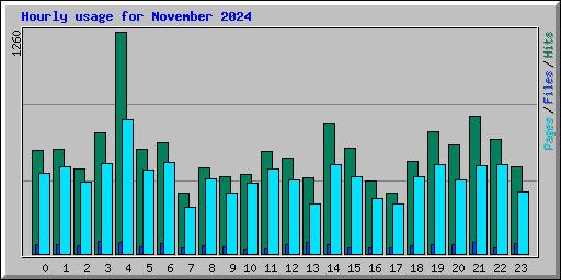 Hourly usage for November 2024