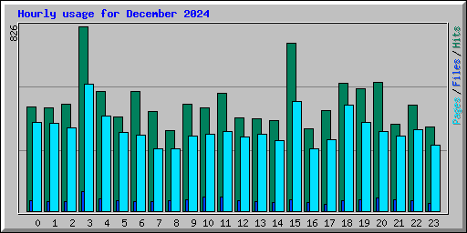 Hourly usage for December 2024