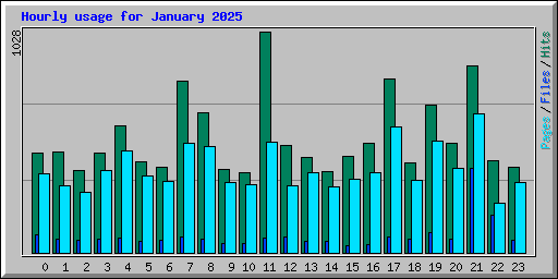 Hourly usage for January 2025