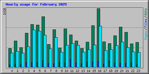 Hourly usage for February 2025