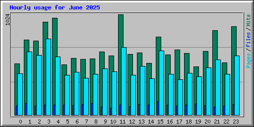 Hourly usage for June 2025
