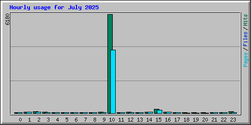 Hourly usage for July 2025