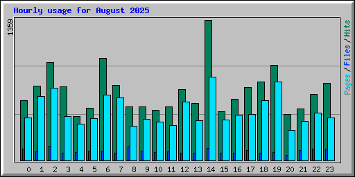 Hourly usage for August 2025