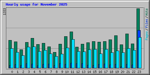 Hourly usage for November 2025