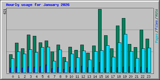Hourly usage for January 2026