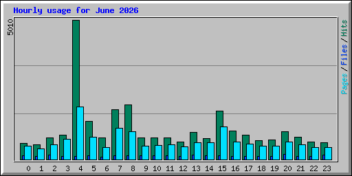 Hourly usage for June 2026