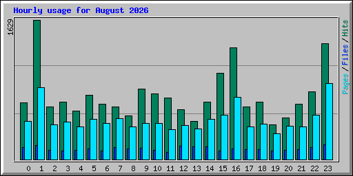 Hourly usage for August 2026